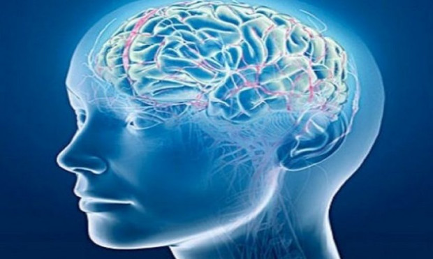 Изкуственият интелект може да разпознае дали мозъкът е на мъж
