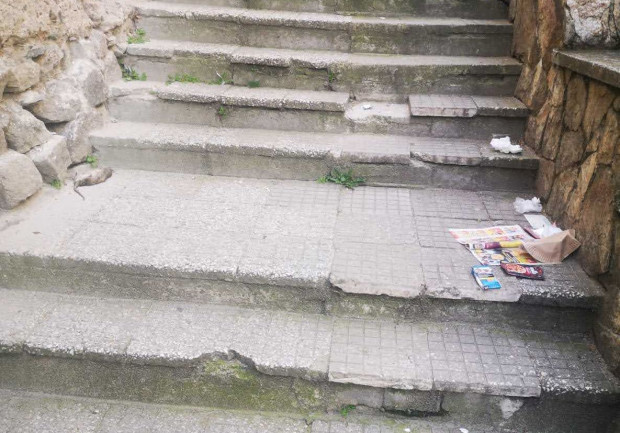 Снимка: Умрели плъхове и мръсотия се въргалят на метри от Главната на Пловдив
