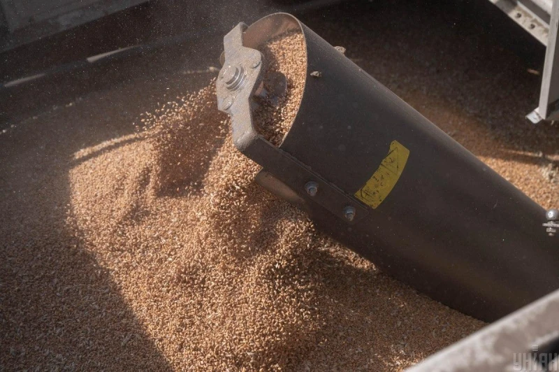 Forbes: Войната сваля световните цени на пшеницата, но това не може да продължи вечно