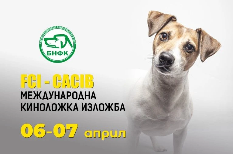 Над 380 кучета ще дефилират на панаир в Пловдив този уикенд