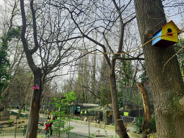 По повод Международният ден на птиците екипът на Зоопарк Варна