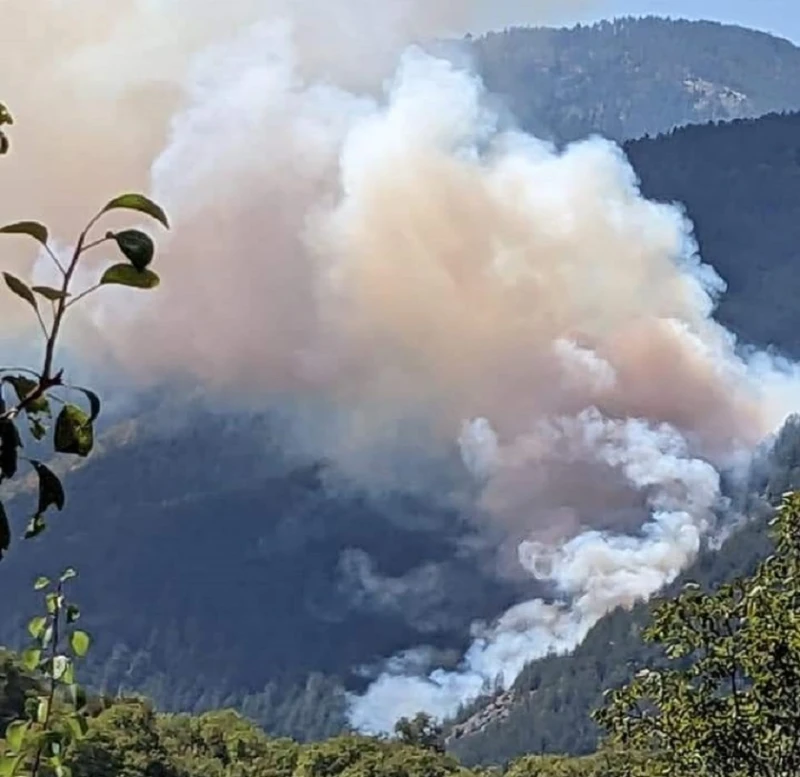 Четири екипа на пожарната, горски служители и доброволци локализираха голям горски пожар край Баните