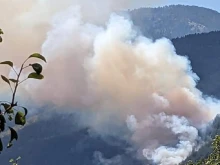 Четири екипа на пожарната, горски служители и доброволци локализираха голям горски пожар край Баните
