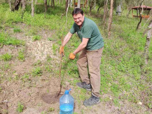 Служители от "ДЛС-Тракия" засадиха фиданки над Перущица