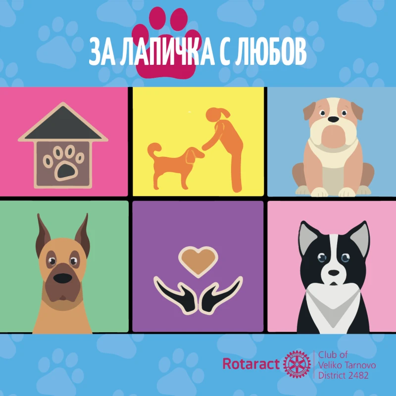 В Световния ден на бездомните животни: В Търновско започва акцията "За лапичка с любов"