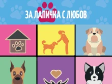 В Световния ден на бездомните животни: В Търновско започва акцията "За лапичка с любов"