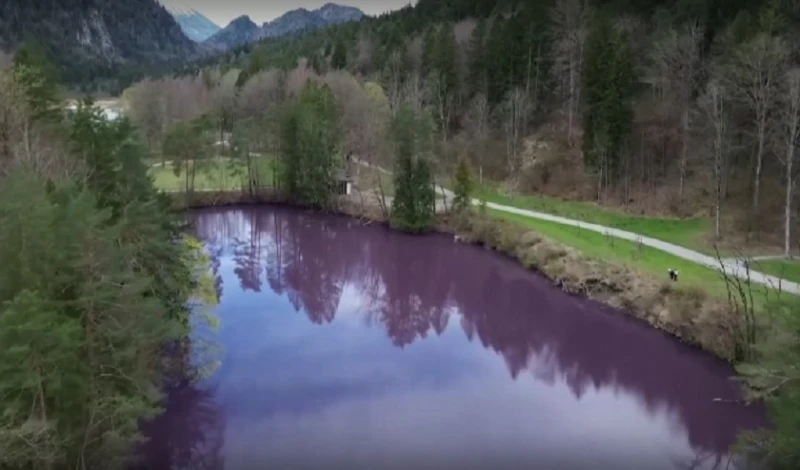 Езеро се оцвети в лилаво, туристи недоумяват какво става