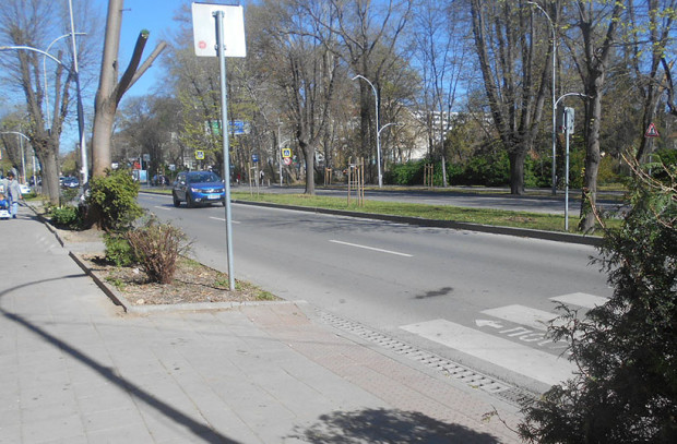 Община Варна и район Одесос разпоредиха премахването на растителност на