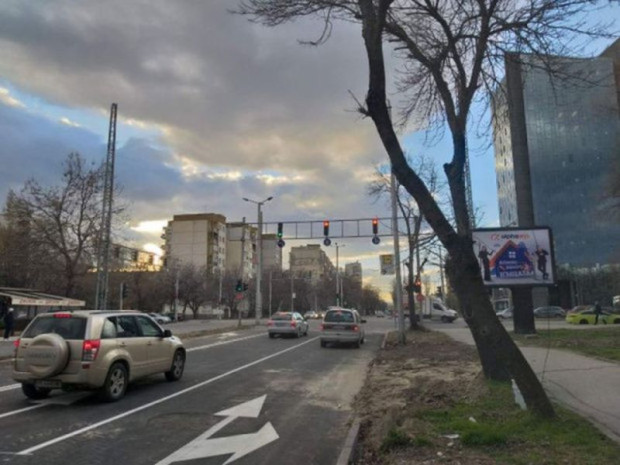 Снимка: Пловдивчанин сигнализира за покъртително състояние на един от най-новоремонтираните булеварди
