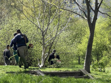 Започва обработката на тревни площи против кърлежи в столичния район "Овча Купел"