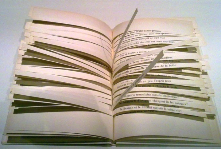 Книгата, която се състои само от 10 страници, но никой никога няма да я прочете