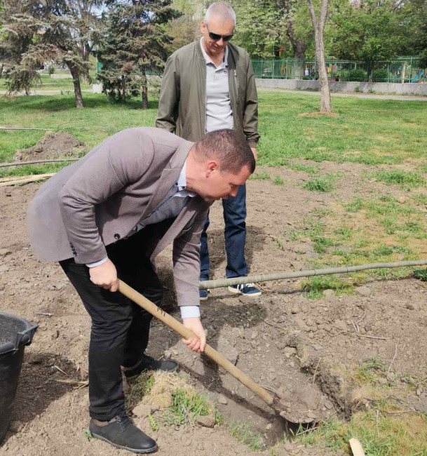Кметът на "Южен" в Пловдив засади дръвчета по улица "Даме Груев"