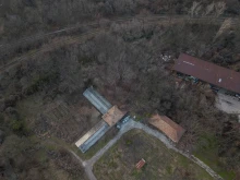 Близо 700 хиляди лева дължи Община Горна Оряховица на нападнати от бездомни кучета граждани