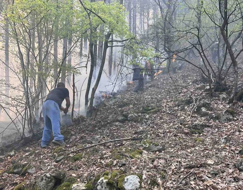 10 дка борова гора са изгорели при пожар над симитлийското село Крупник