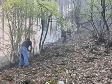 10 дка борова гора са изгорели при пожар над симитлийското село Крупник