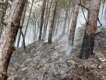 Ето как изглежда гората над Крупник след днешния пожар
