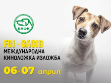 Над 380 кучета ще дефилират в Международния панаир в Пловдив