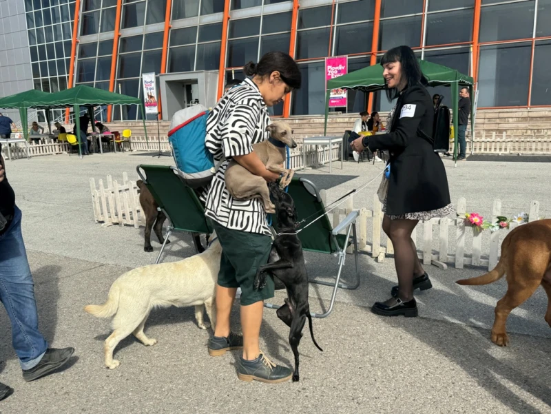 Откриха международна киноложка изложба в Пловдив