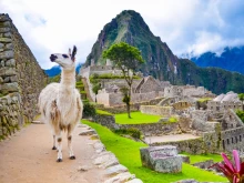 Георги Христов: Перу е едно от най-интересните места на нашата планета, абсолютно неразгадана територия
