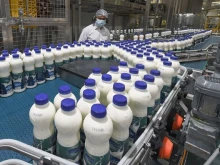 През март Украйна е изнесла 8,5 хиляди тона млечни продукти