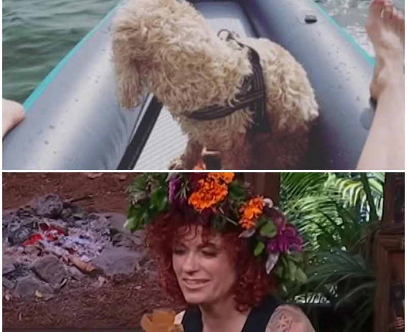 � ��������� �������� � �� ����� �� ������ ���� ��������