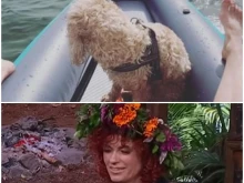 � ��������� �������� � �� ����� �� ������ ���� ��������