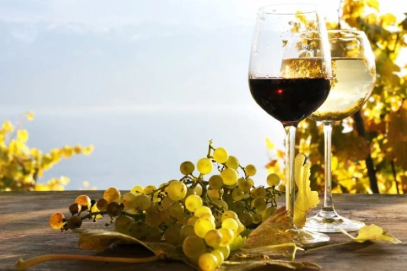 От лидер към дъното на класацията: Каква е причината българското вино да губи позиции на пазара?