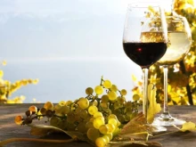От лидер към дъното на класацията: Каква е причината българското вино да губи позиции на пазара?