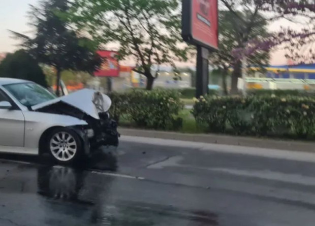 Млада шофьорка отсече дърво с колата си в Пловдив