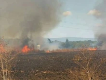 Сериозен брой пожари гасиха огнеборците в Кюстендилско