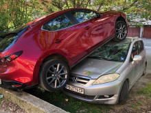 Очевидец на инцидент в Пловдив: Такова нещо рядко се вижда