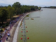 Ужасната гледка на Гребната: Рибите са били наранени при улова и транспортирането