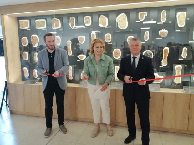 Снимка: Най-новият музей в Бургас е на медицината