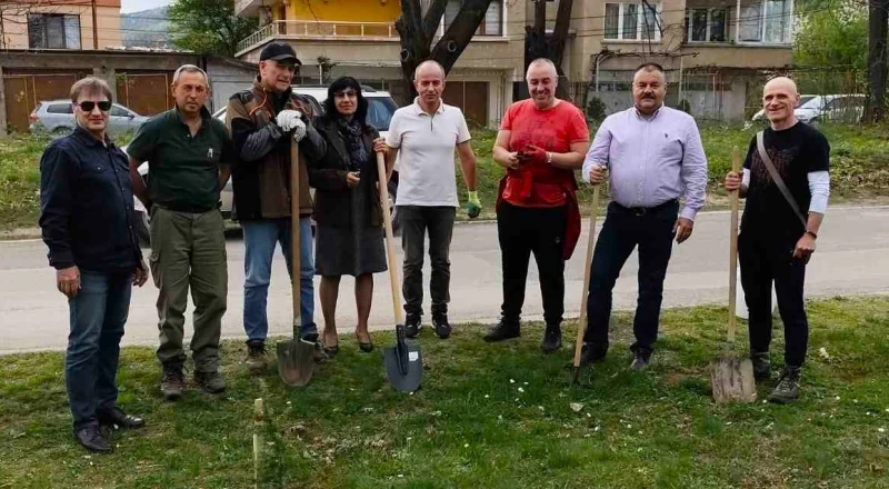 Засадиха 20 дръвчета на територията на МБАЛ - Берковица