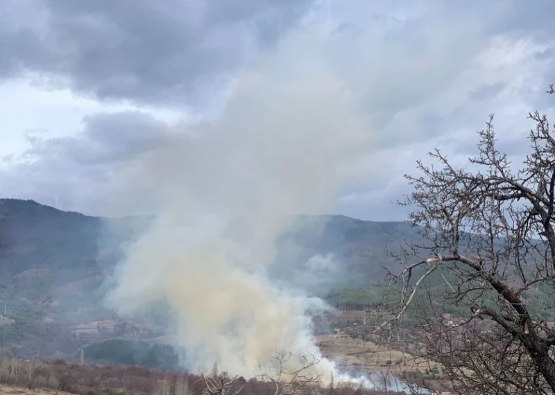 От 15 април обявяват пожароопасния сезон в област Кюстендил