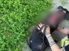 Мъж малтретира питбул пред ученици в Пловдив, има съмнения и за сексуално насилие