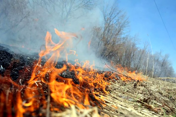 Пази горите от пожар С този призив се обръща ОД