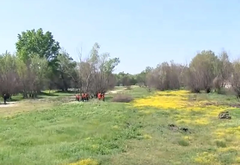 Започва разчистването на растителността от коритото на река Марица