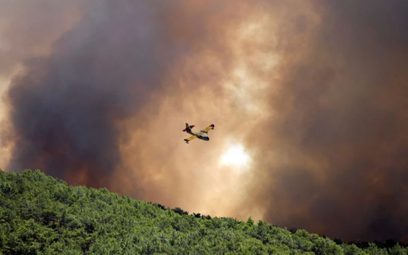 Близо 70 пожара са пламнали в горски и селскостопански площи в Гърция за едно денонощие