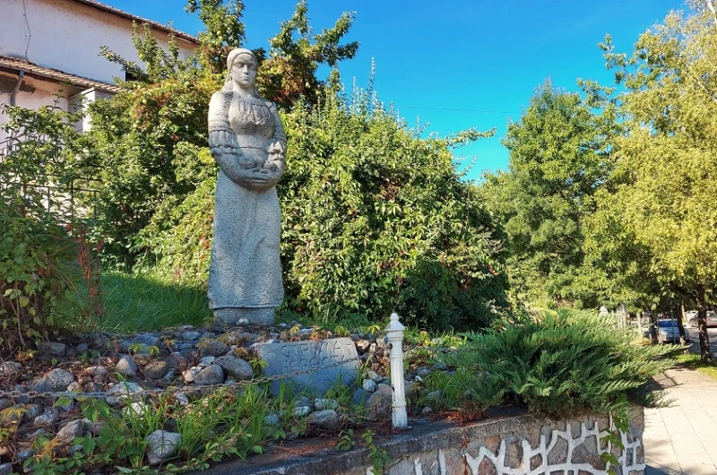 Откриха обявена за издирване баба в село Невестино