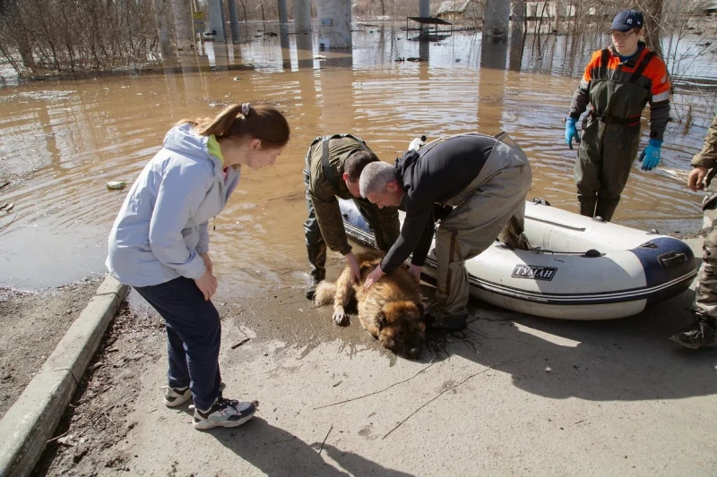 В Оренбург е обявена масова евакуация заради наводнението, нивото на водата мина 11 метра