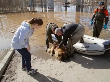 В Оренбург е обявена масова евакуация заради наводнението, нивото на водата мина 11 метра