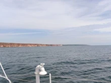 Невиждана досега надуваема лодка беше открита в Черно море
