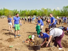 Пролетното залесяване на София стартира, кметът Терзиев обеща 1000 дървета да бъдат засадени в града