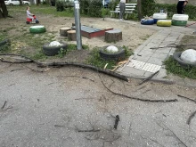 Деца се разминаха на косъм от удар, голям клон се сгромоляса в Пловдив