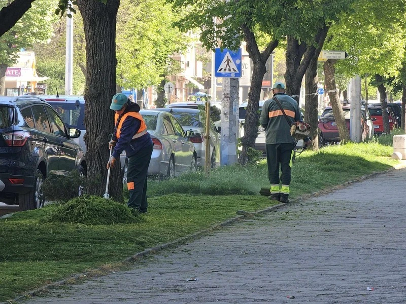 Пръскат срещу кърлежи в Благоевград