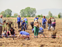 1 000 фиданки засадиха през уикенда доброволци в Новата гора на София