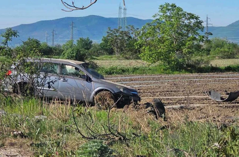 Шофьор е в болница в Пловдив след удар в орех