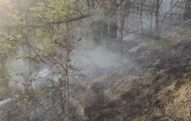 Две къщи са засегнати при голям пожар в Кюстендилско