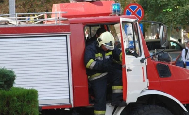 Пожарникари отстраниха опасни клони над сграда в Кърджали